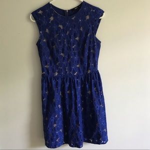 OASIS Blue Lined Lace Dress